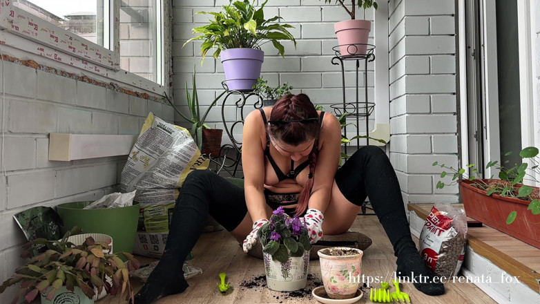 Renata Fox: My Neighbours Have a Premium Subscription to My Balcony