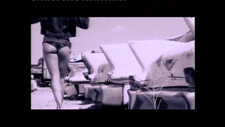 Hard Accademy: Gerçek erotik MILF'ler