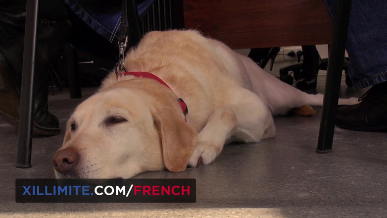 French girls at work: French busty vet gets fucked in DP by 2 men