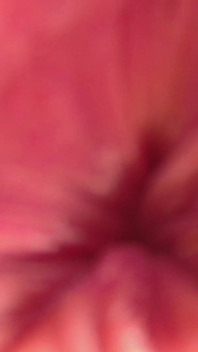 POV: Cumming on Your Face