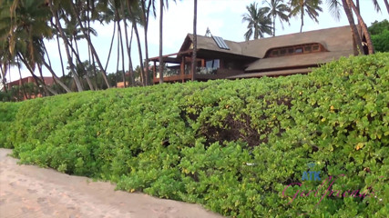 ATK Fans (Girlfriends): Vacanze virtuali in Hawaii con la costa di Peyton parte 1