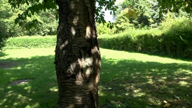 Deutschland porn: Mia De Berg pervers - (film complet)
