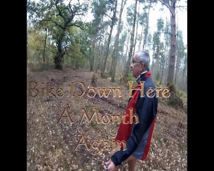 Andy: Floresta