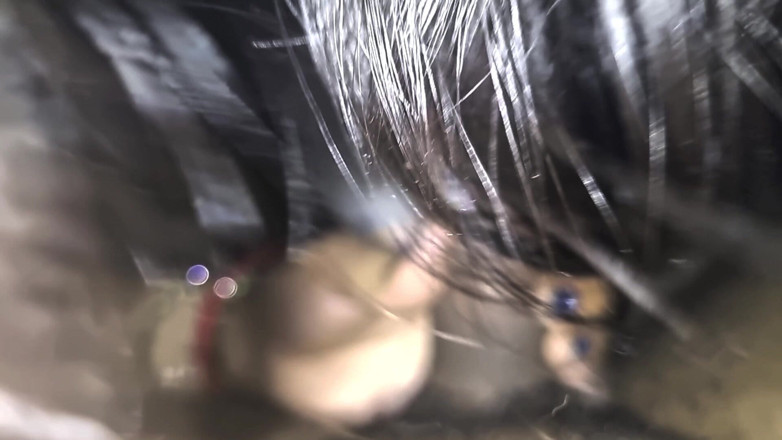 Realsexhub: Doar suge fără futai