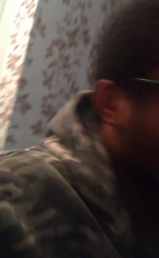 Amadeus: Aktualizace režimu Amadeus