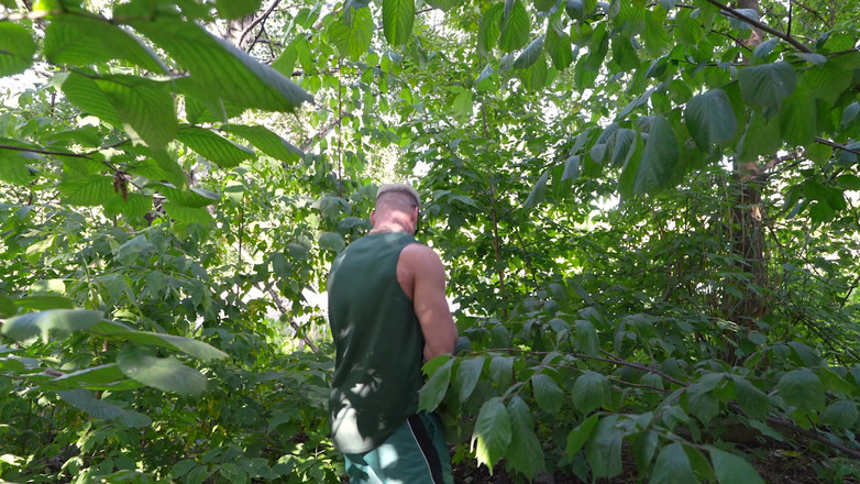 Apollon: Ho incontrato una sventola nel parco. e l'ho scopata subito....