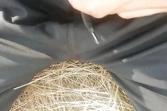 Åh liten penis kissa cumshort i djungeln