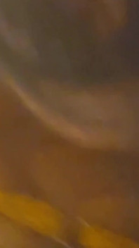 Najlepszy raw wideo rogacz męża