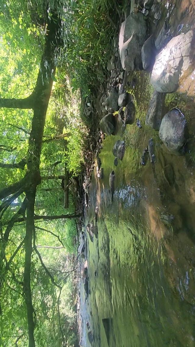 More Time at the River (Djk31314)