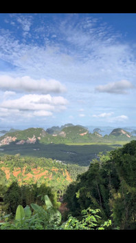 This View