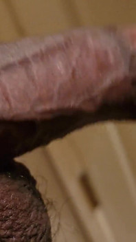Dick Flapping