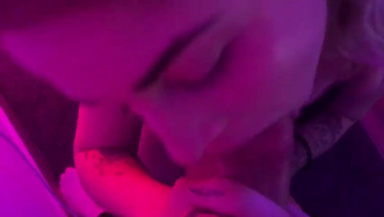 SassyTiff: 初めてのツバメ兼