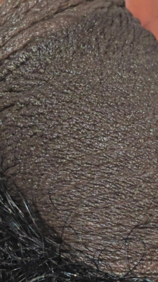 Bd boy studio: Uau, noi suntem.