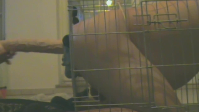 No limit cbt slave: 케이지 속 노예가 항문 성교를 당한다