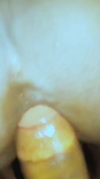 Bhabhi Se Fait Baiser, Duper Et Sodomiser.