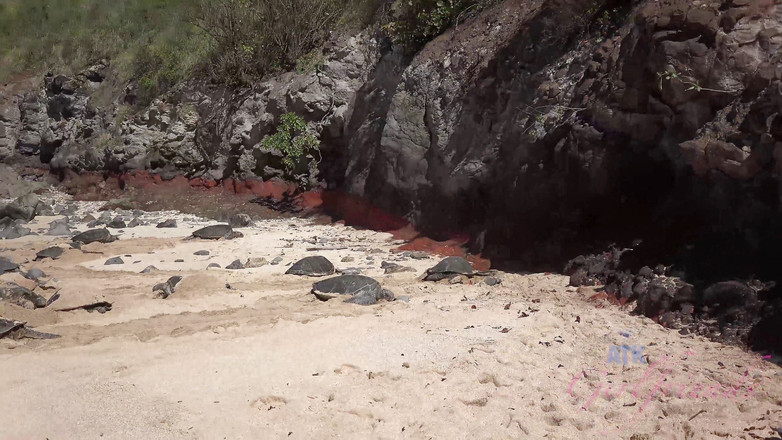 ATK Girlfriends: Vacances virtuelles à Hawaï avec Demi Lopez, partie 4