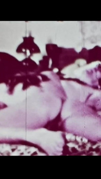 Vintage porn retro erotic theatre - wild sex 6
