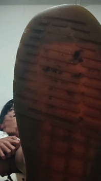 Boot-licking Cocksucker JOI Countdown