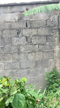 Cewek semok kulit hitam ini dientot gaya doggy habis-habisan sama pria kulit hitam di luar ruangan