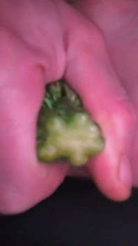 I Love Vegetables in My Ass