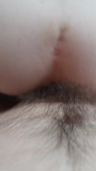 POV Op Zijn Hondjes Koppelseks