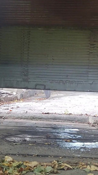 Bố đi tiểu và chơi