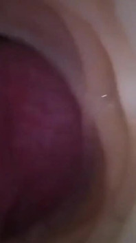 Two Cocks for a Horny Holiday
