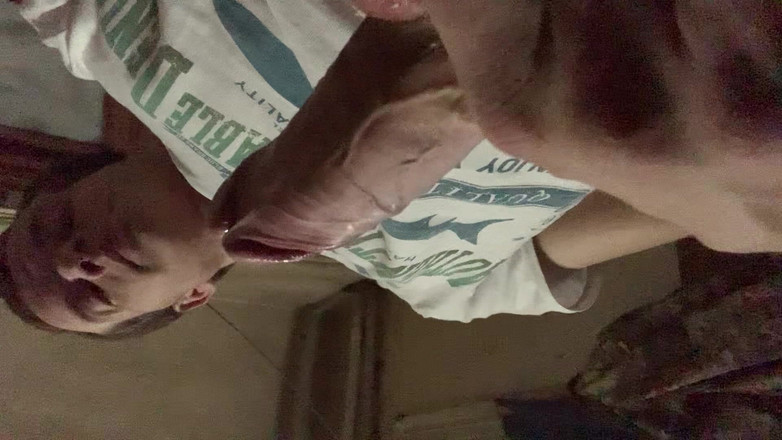 Igor Yary: Honění rukou