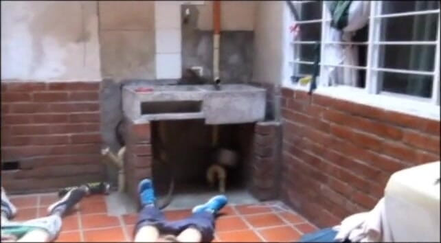 Femdom Austria: Mistress Kicks Her Slaves in the Balls