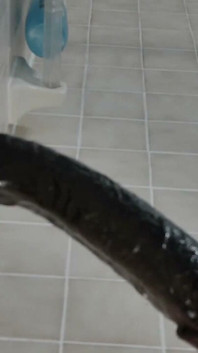 The Whole Day Compilation Shower My Fingers Toy My Hole Big Bad Brown Fills Me