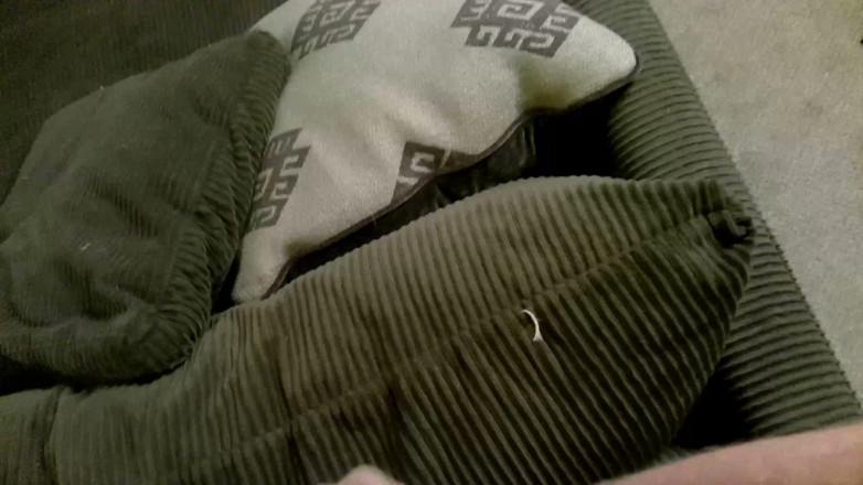 Stan Gable: POV Jenny Needed and Quickie