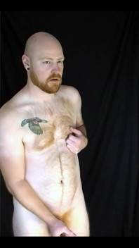 You Like Lookin' at This Fuzzy Ginger Fella?