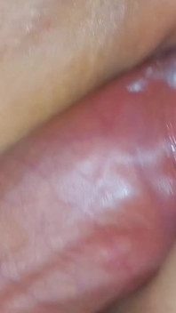 Sexilvenia De aproape