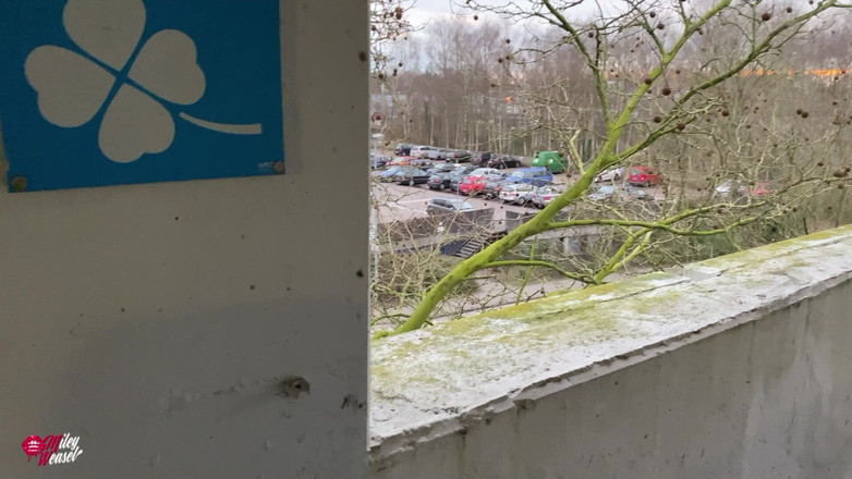 Miley Weasel: Curvă blondă drăguță controlată de la distanță în public!!