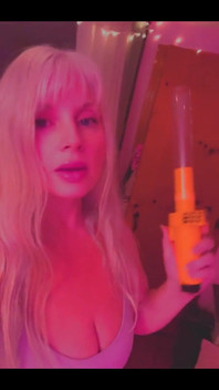 Not Invited Sir Stinkbug