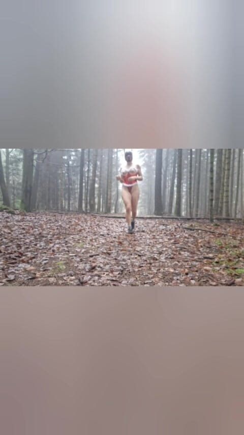 Swissapple: 산타 클로스를 찾아