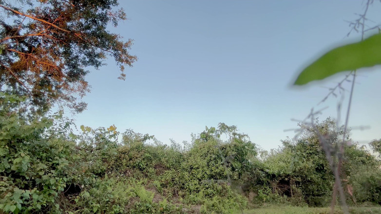 LonlyBoy: 공공 장소에서 누드로 자위하고 로밍하는 인도 소년