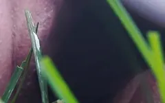 Arka bahçemde fışkırtıyorum
