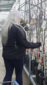 Plant Shopping