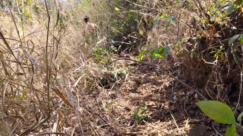 Sexy biwi: Eski Kız Arkadaşımı Ormanda Siktim