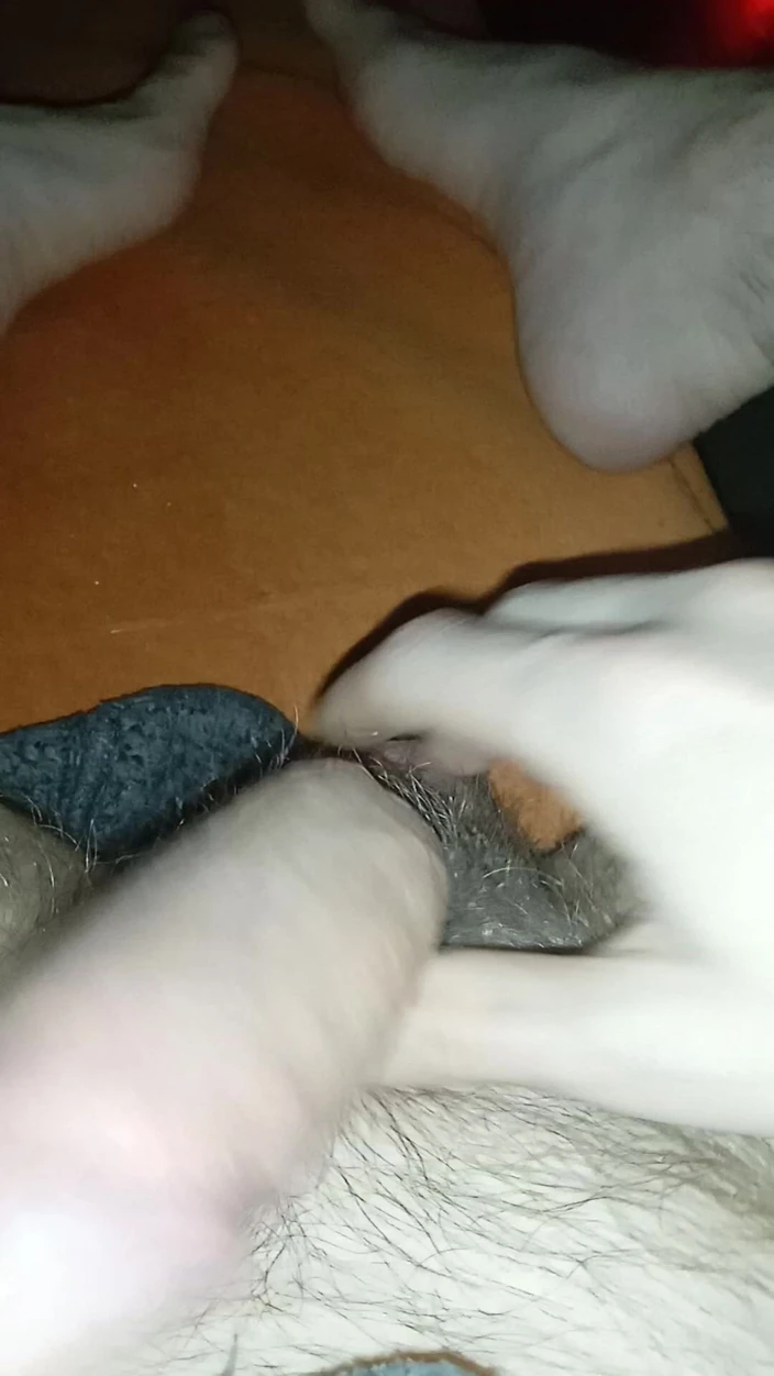 cut3p3tit3: Cock and Balls Worship