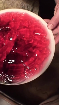Jell-oh! Cum Eating When Desserts Fail