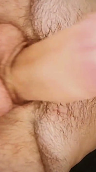 Will You Suck My Hairy Balls?