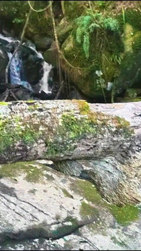MILF Gets Her Pussy Eaten and Fucked at the River