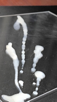 LolaCD: Seria uma delícia