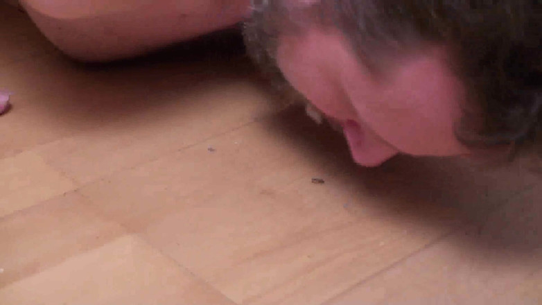 Femdom Austria: Eating the dust off the floor