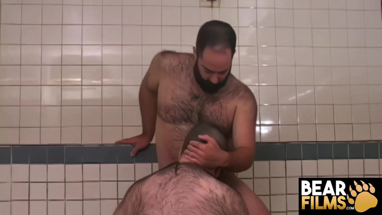 Bear Films: Bearfilms intensives anal mit bären, logan shotwell und scott cardinal