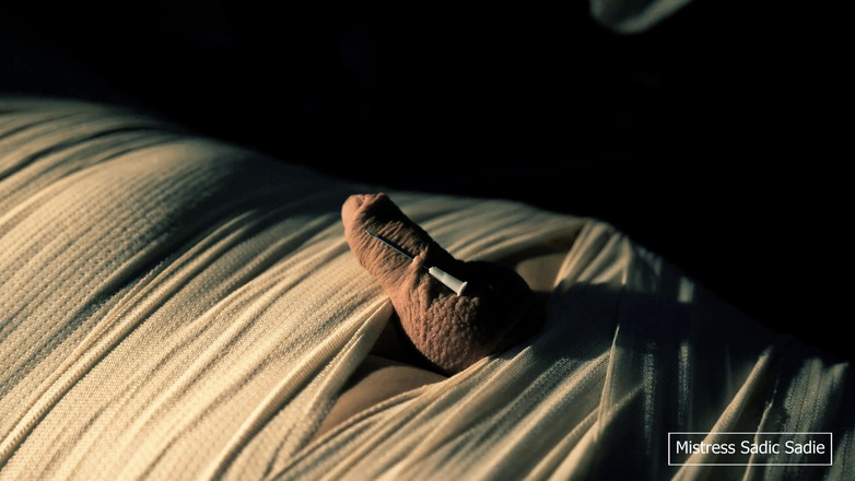 Sadic Sadie: Медицинская игра с мумификацией, КПТ с иглами и электро-игрой.