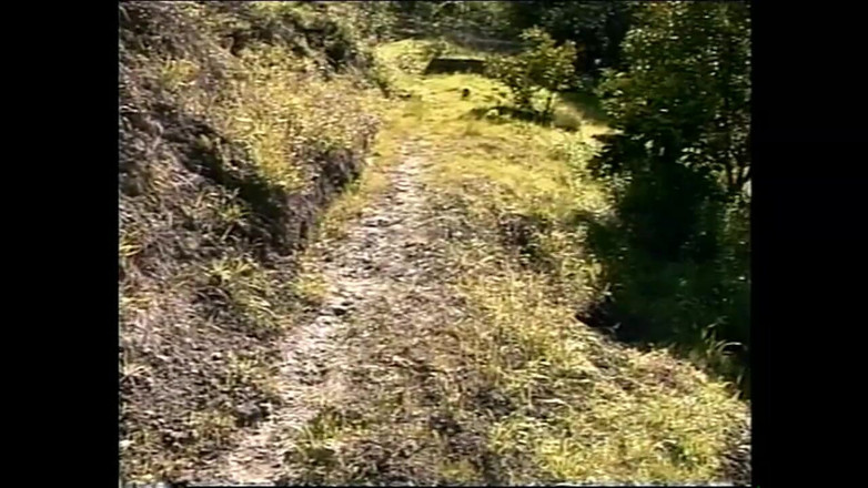 Forte porno TV xxx - (Just the best full movies): Arabella Big