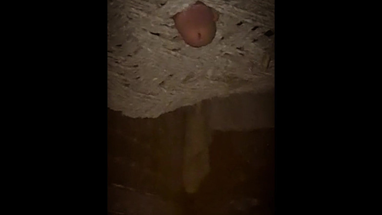 Desi Porn India 2: Video kompilasi crot sperma hangat baruku.